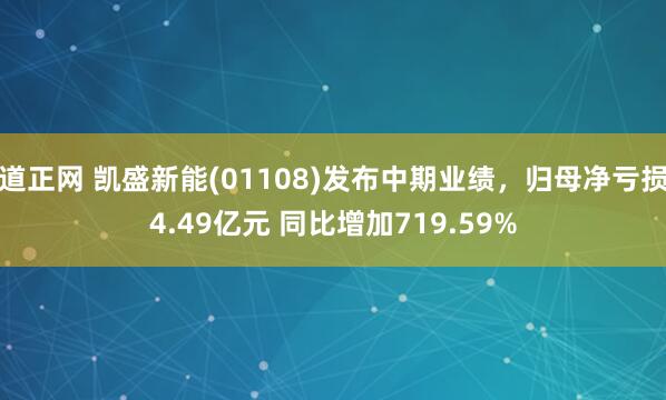 道正网 凯盛新能(01108)发布中期业绩，归母净亏损4.49亿元 同比增加719.59%
