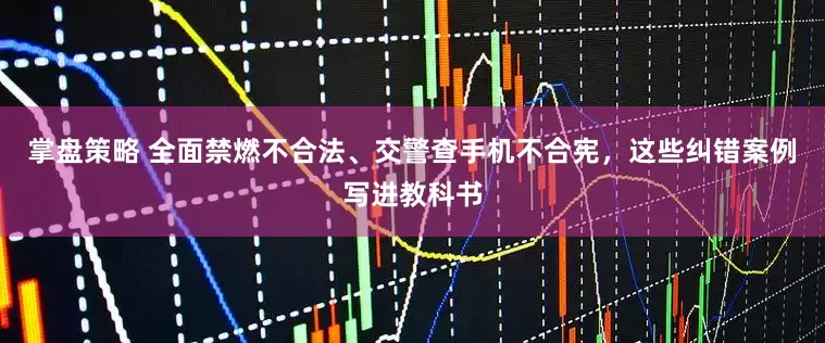 掌盘策略 全面禁燃不合法、交警查手机不合宪，这些纠错案例写进教科书