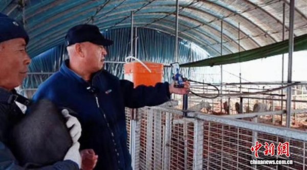 问道管理 “赫哲故里”同江：直播养猪 年味“云”订