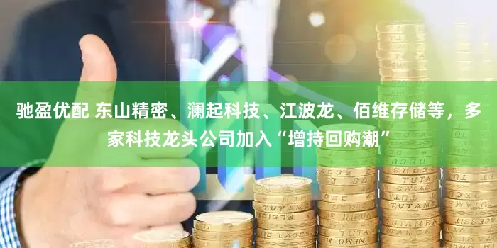 驰盈优配 东山精密、澜起科技、江波龙、佰维存储等，多家科技龙头公司加入“增持回购潮”